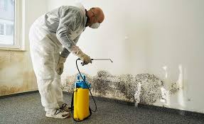 Mold Removal for HVAC Installations in South Waverly, PA